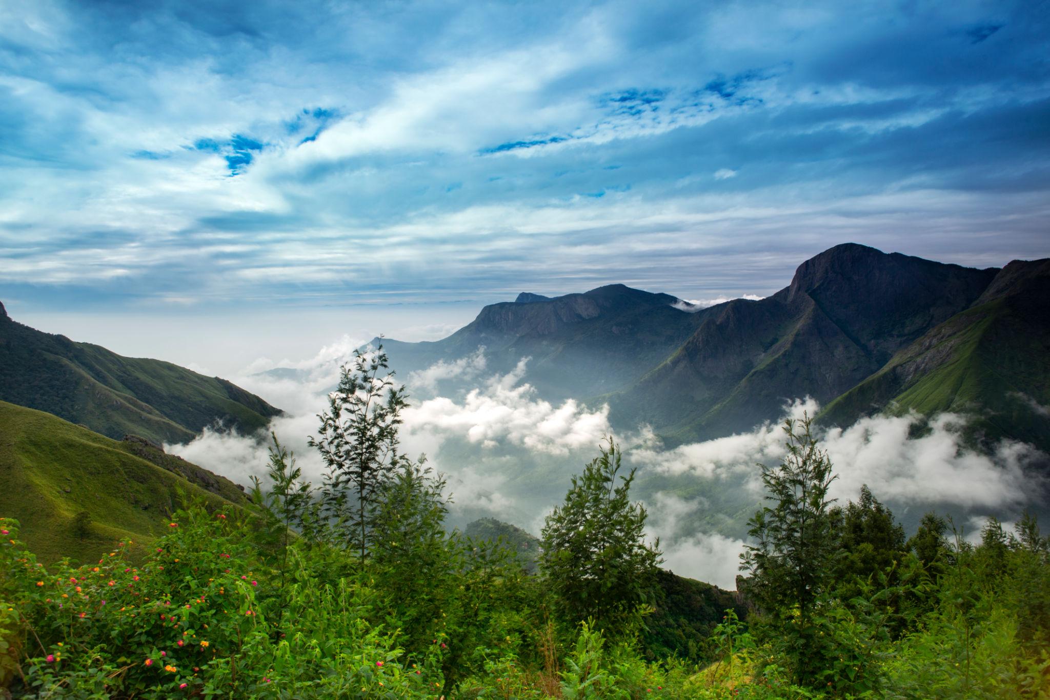 Munnar Full-Day Sightseeing sightseeing route, attractions and activities